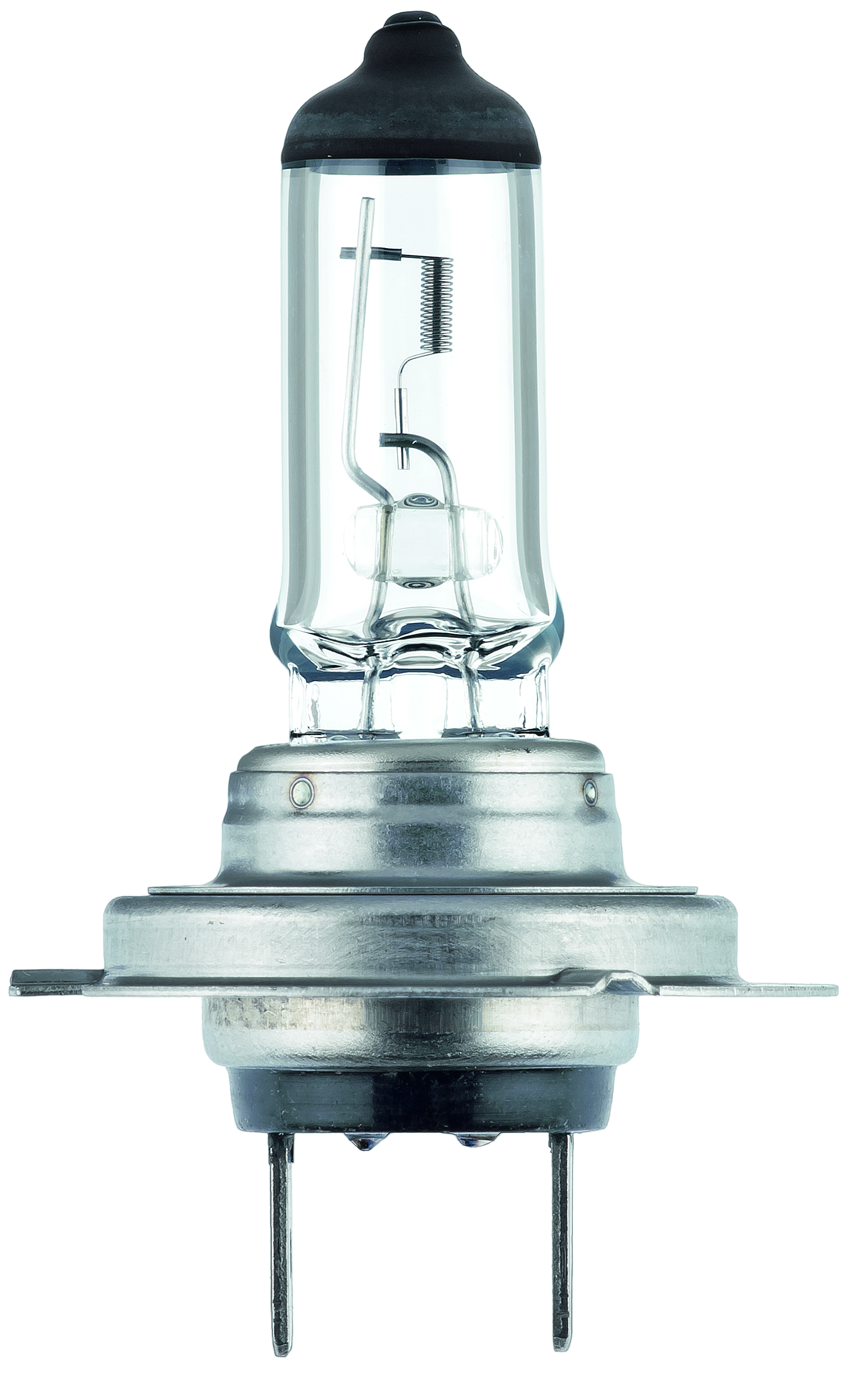 Lampadine